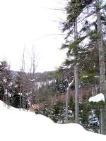 Cesta z Frýdlantu n.O. na Ondřejník